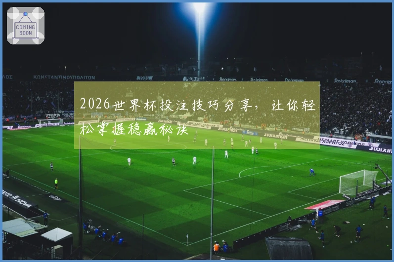 2026世界杯投注技巧分享，让你轻松掌握稳赢秘诀