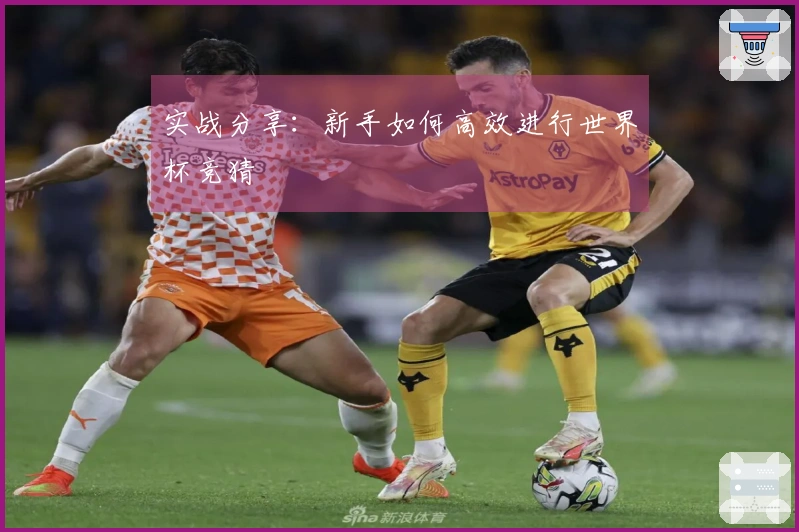 实战分享：新手如何高效进行世界杯竞猜