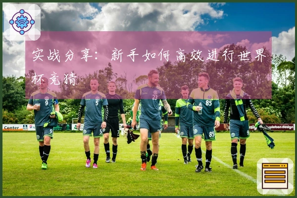 实战分享：新手如何高效进行世界杯竞猜