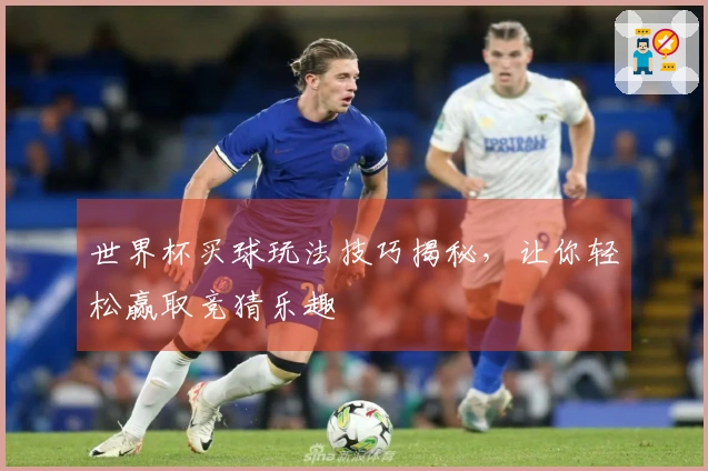 世界杯买球玩法技巧揭秘，让你轻松赢取竞猜乐趣