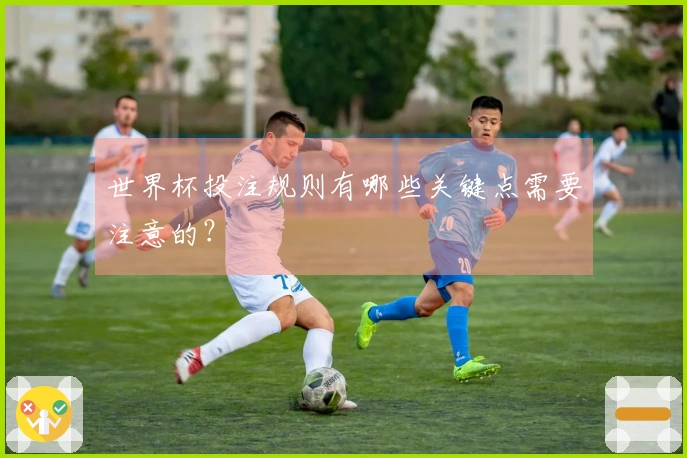 世界杯投注规则有哪些关键点需要注意的？