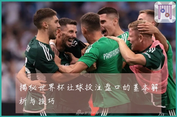 揭秘世界杯让球投注盘口的基本解析与技巧