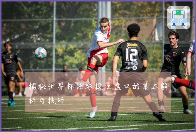 揭秘世界杯让球投注盘口的基本解析与技巧