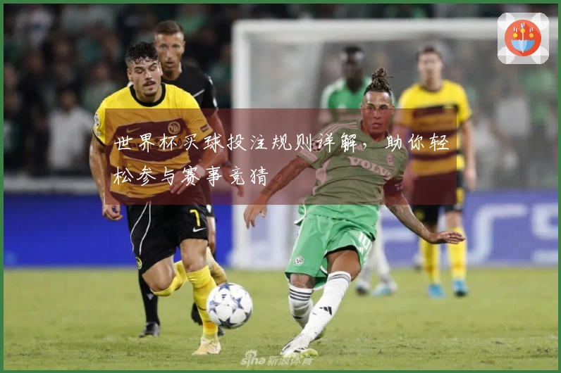 世界杯买球投注规则详解，助你轻松参与赛事竞猜